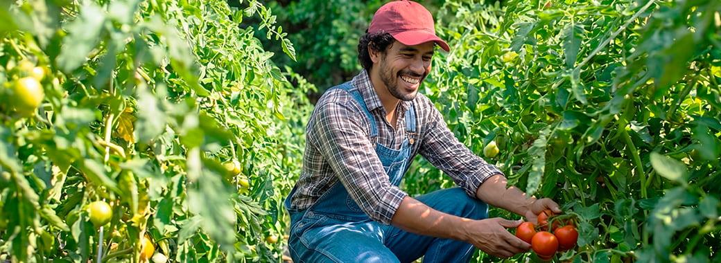 Día del Campesino: la suerte también se siembra este puente